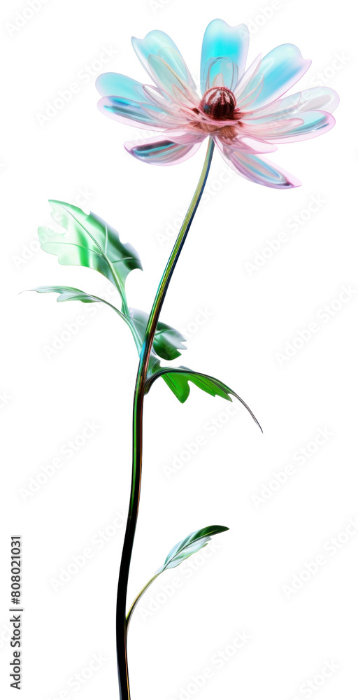 Naklejka premium PNG Flower petal plant pink.