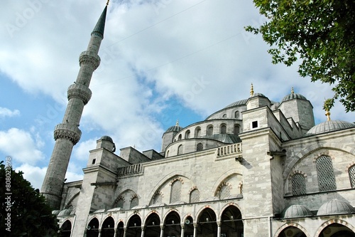 Moschea centrale di Instabul . Turchia  photo