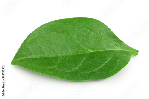 Baby spinach leaves isolated on white background