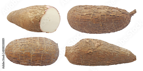 cassava root isolated on white background photo