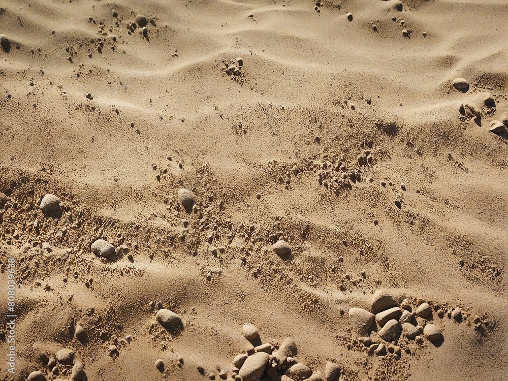 Fototapeta premium footsteps in the sand
