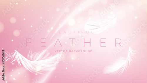 feather background