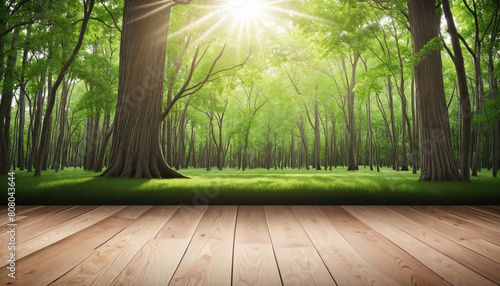  Top perspective view of a modern kitchen product display template on a wooden tabletop with natural sunlight and tree shade in the background  creating a nature-inspired stage for showcasing items  