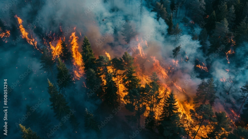 Aerial view of a forest fire spreading rapidly, emergency response
