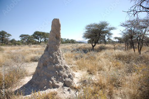 Namibia termite mounds on a sunny autumn day photo