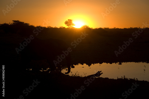 Namibia Sunset in Etosha National Park on a sunny summer day