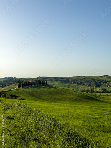jedno ze słynnych wzgórz w Toskanii na którym stoi tradycyjna willa otoczona zielonymi polami uprawnymi i wysokimi cyprysami photo