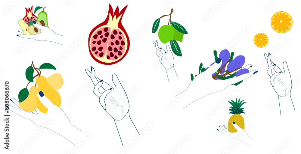 Doodle fruits. Natural tropical fruit, doodles citrus orange and vitamin lemon. Doodle fruits. Natural tropical fruit, doodles citrus orange and vitamin lemon.