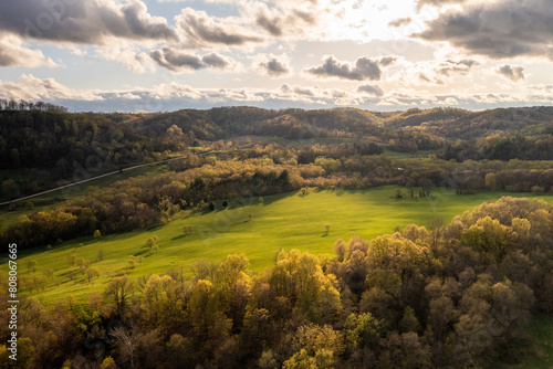 Spring Pasture