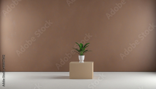Empty white wall with natural plant shadows provides a blank canvas for your modern showcase display template 