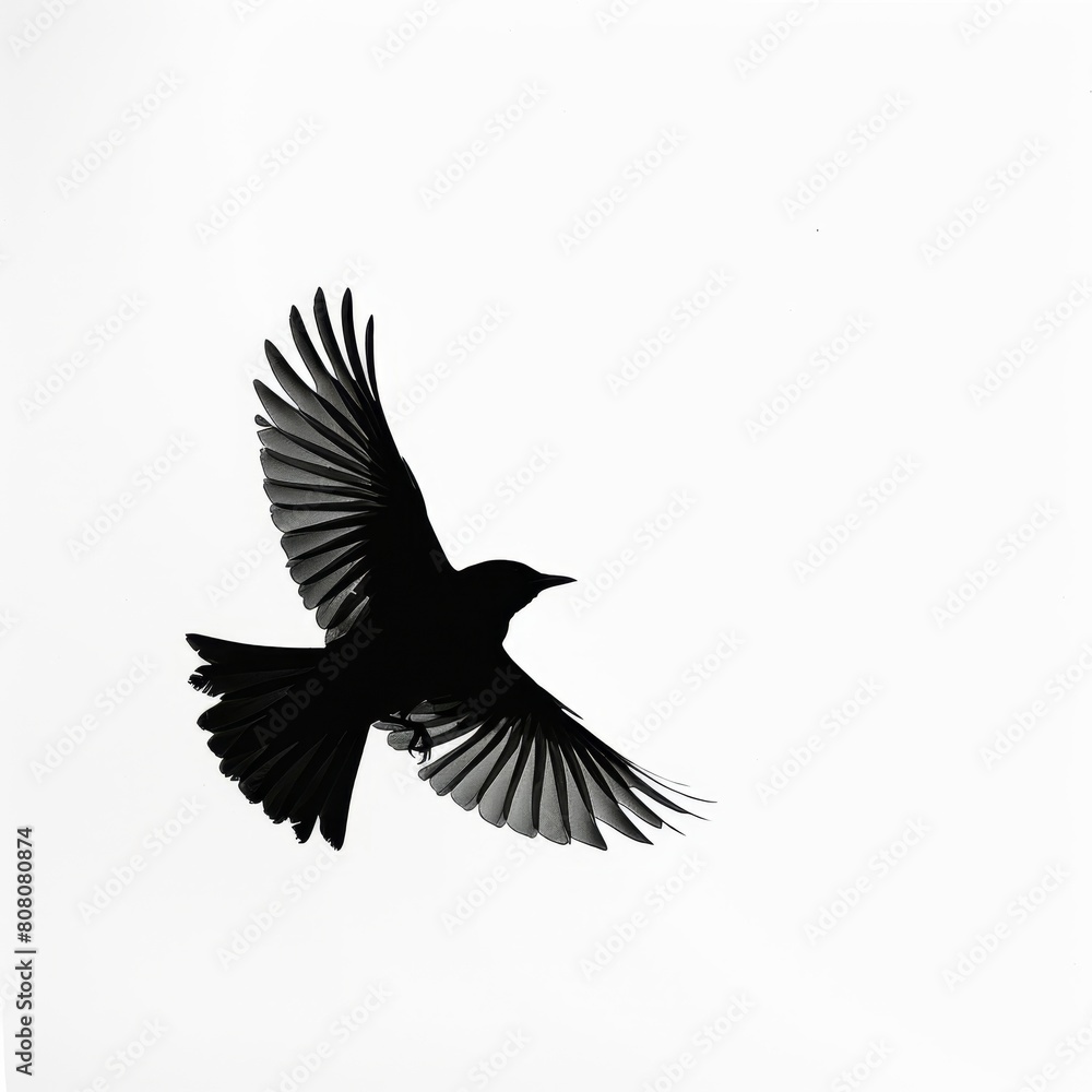 Naklejka premium silhouette of bird on white background