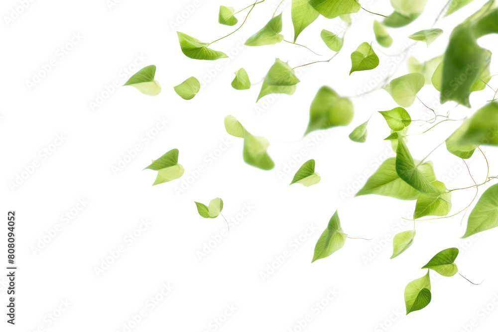PNG floating leaf effect, transparent background PNG floating leaf effect, transparent background