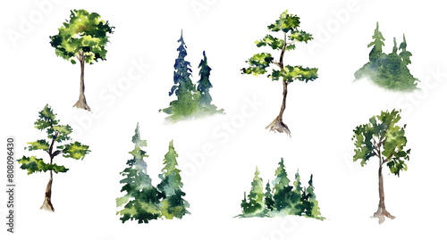 Trees collection set. Green plants with leaves  garden botanical watercolor hand painted realistic ecological elements clipart