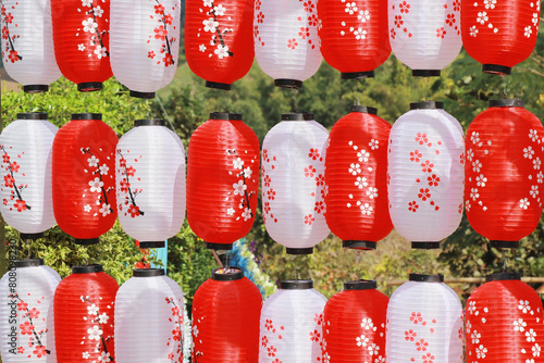 Chinese lanterns hanging outdoors