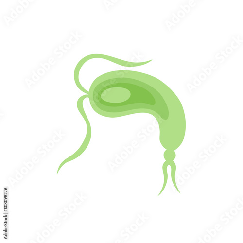 Copepod Microorganism Vektor Illustration 