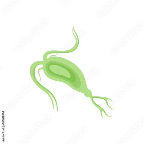 Copepod Microorganism Vektor Illustration 