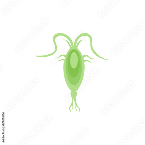 Copepod Microorganism Vektor Illustration 