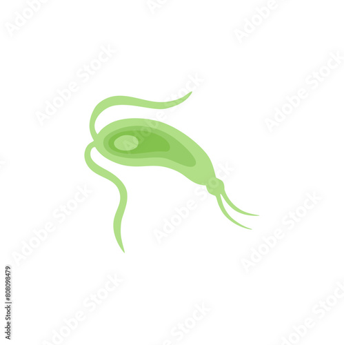 Copepod Microorganism Vektor Illustration 