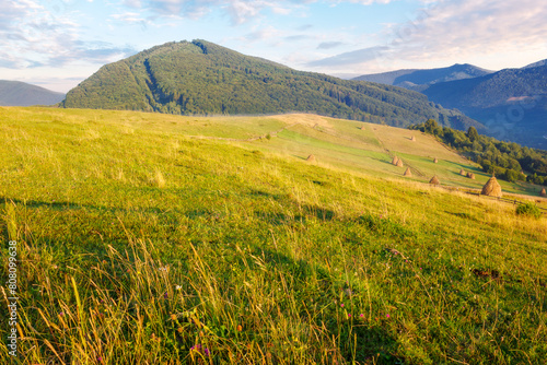 carpathian rural area of volovets district with rolling hills on a sunny morning in summer. haystack or sheaf near the forest on grassy field. countryside landscape of transcarpathian region, ukraine photo