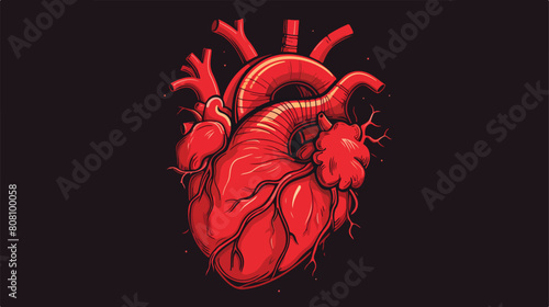 anatomical human heart sketch hand-drawn illustrati photo