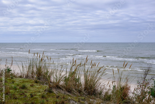 Baltic Sea coast near Dębki