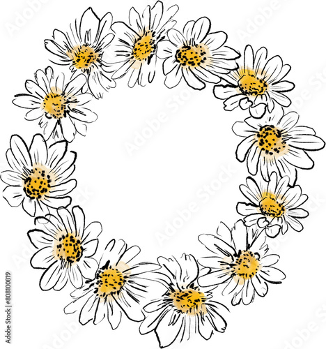 White Daisies floral illustration