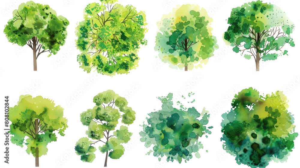 Fototapeta premium Set of abstract watercolor green tree top view, isolated on transparent background