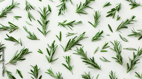 Overhead view of scattered rosemary leaves, artistically arranged to showcase their texture and deep green hue against a white background photo