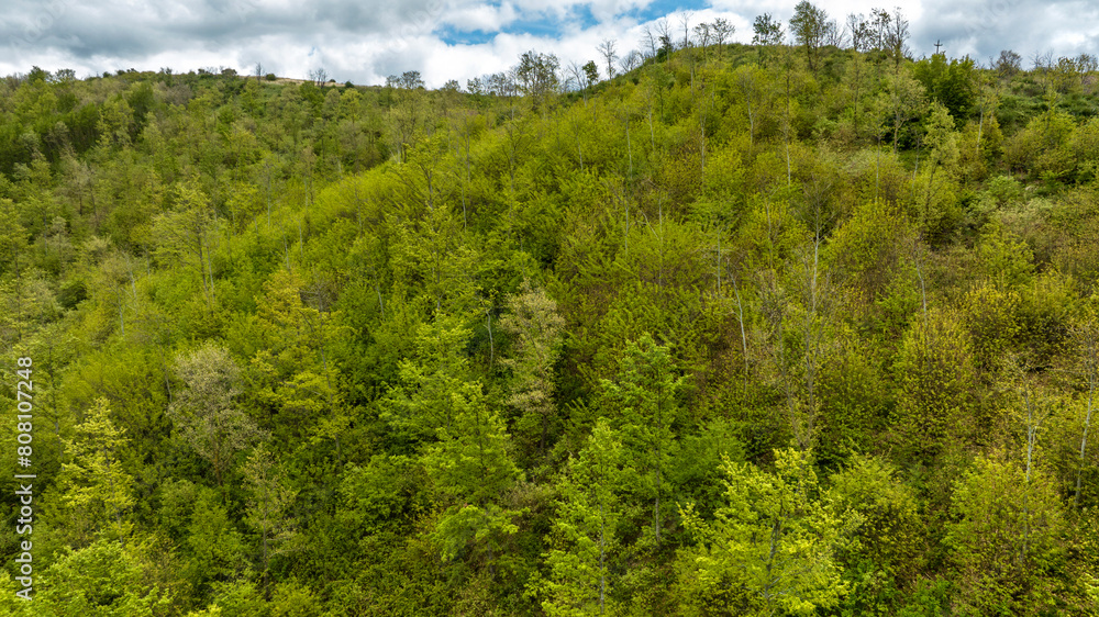 Aerial view of a forest on a cloudy day. Aerial view of a forest on a cloudy day.