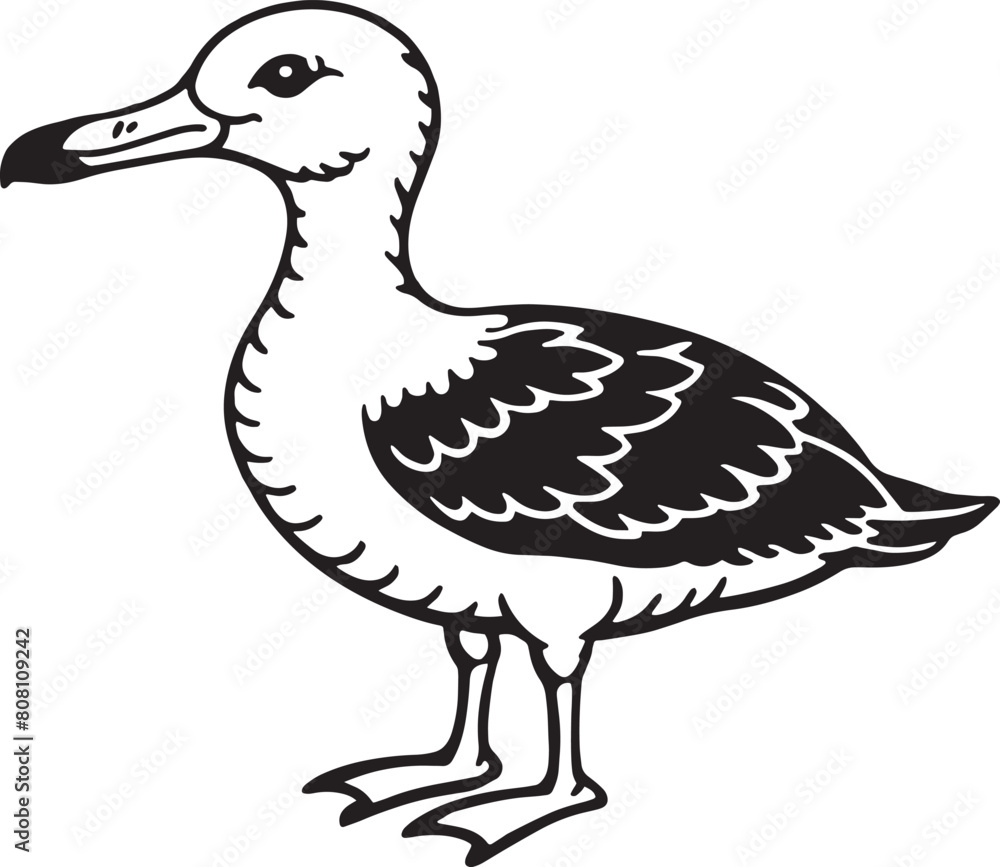 Black and White Cartoon Illustration of Seagull Bird for Coloring Book Black and White Cartoon Illustration of Seagull Bird for Coloring Book