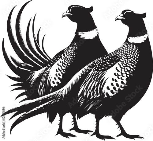 Pheasant silhouette. Pheasant logo. Pheasant vector design black and white. Pheasant flying silhouette. 