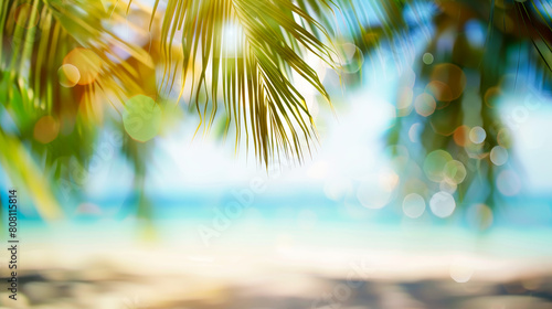 Blurred Tropical Beach Scene 