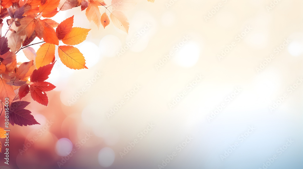 Autumn themed backgrounds for design needs,Autumn leaves and sun background,