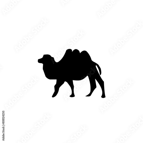 Camel Silhouette