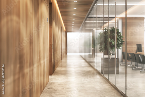 Long Hallway With Glass Walls and a Plant