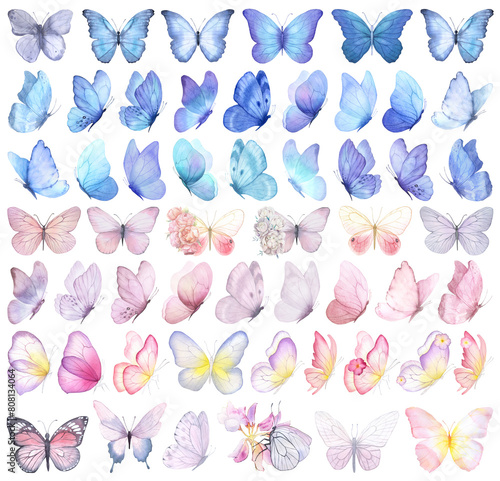 Butterfly collection. Watercolor illustration. Colorful Butterflies clipart set. Gray violet butterfly. Baby shower design elements. Party invitation, birthday celebration. Spring or summer decoration