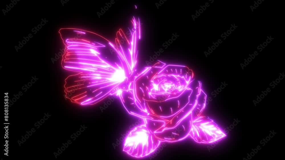video animation of butterfly on rose video animation of butterfly on rose
