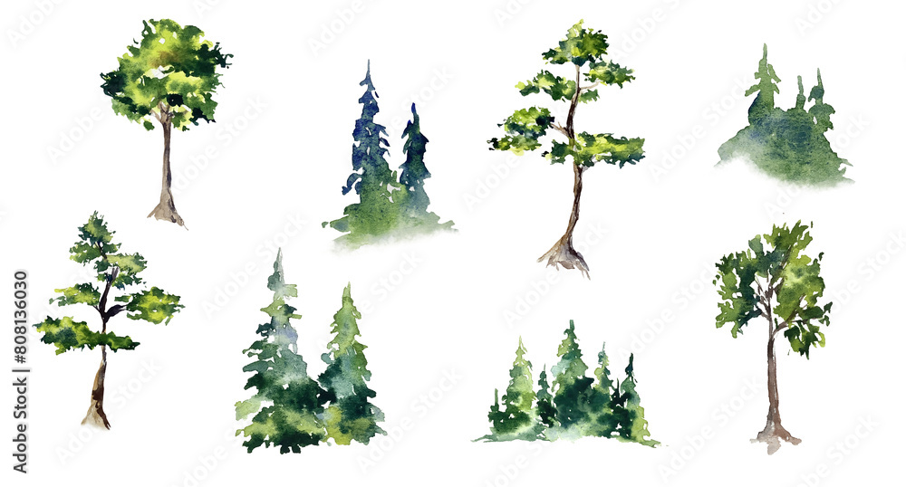 Fototapeta premium Trees collection set. Green plants with leaves, garden botanical watercolor hand painted realistic ecological elements clipart