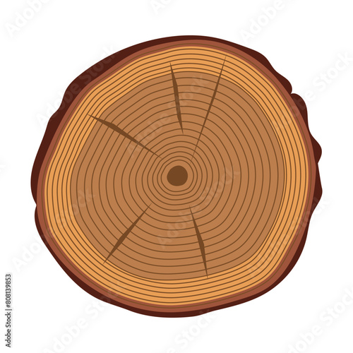 Trunk cut on a white background. Tree trunk ring vector cartoon illustration