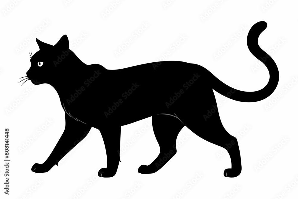 A cat different style silhouette black vector artwork illustration A cat different style silhouette black vector artwork illustration