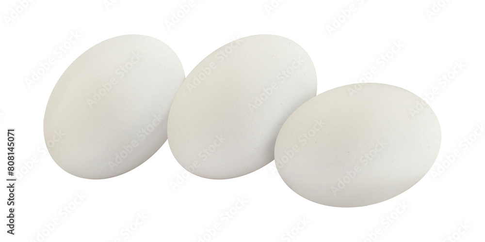isolated white eggs on transparent background isolated white eggs on transparent background