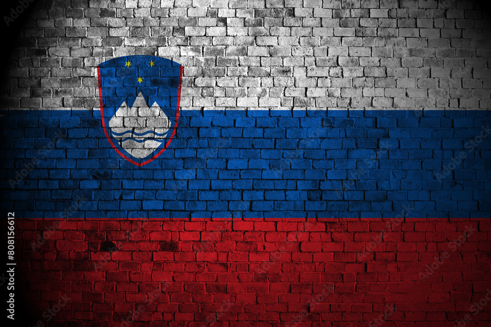 slovenia flag on brick wall