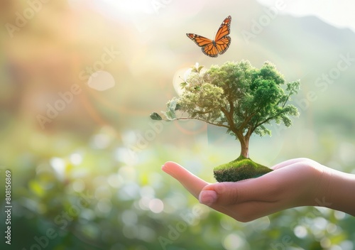 Hand holding a small tree with planet earth and butterfly flying, environment preservation concept.