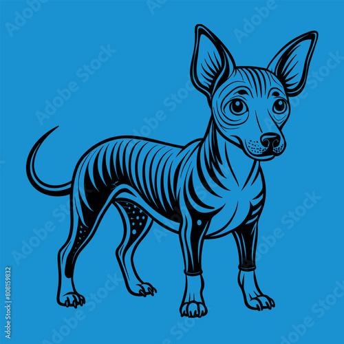 cagnolino simpatico 02