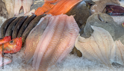 Fresh fish in the market