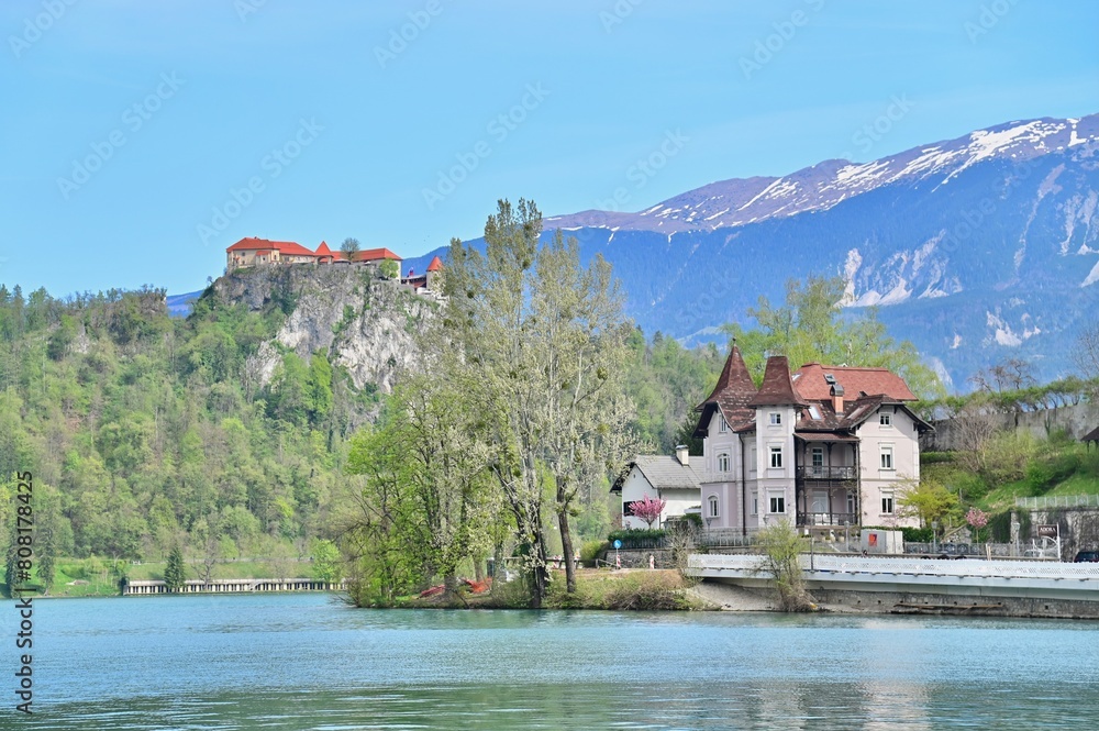 Fototapeta premium Beautiful View of Lake Bled with Castle, Villas and the Julian Alps in Slovenia