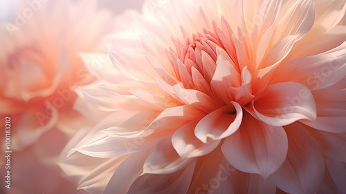 A stunning pink flower in close-up, ideal for vector art