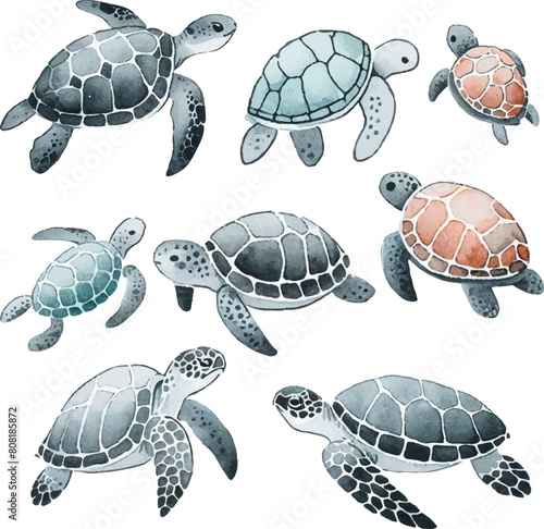 set with turtles in watercolor style in pastel colors