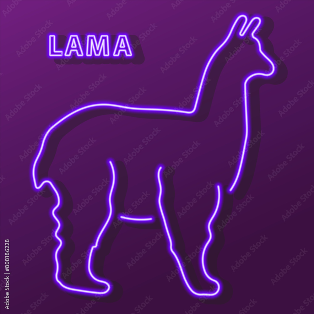 lama neon sign, modern glowing banner design, colorful modern design trend on black background. Vector illustration. lama neon sign, modern glowing banner design, colorful modern design trend on black background. Vector illustration.