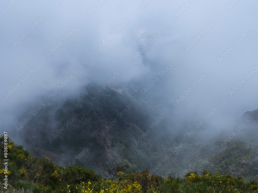 Fototapeta premium View of green foggy misty mountain landscape covered with yellow flowers and white dry trees at hiking trail PR12 to Pico Grande one of the highest peaks in the Madeira, Portugal